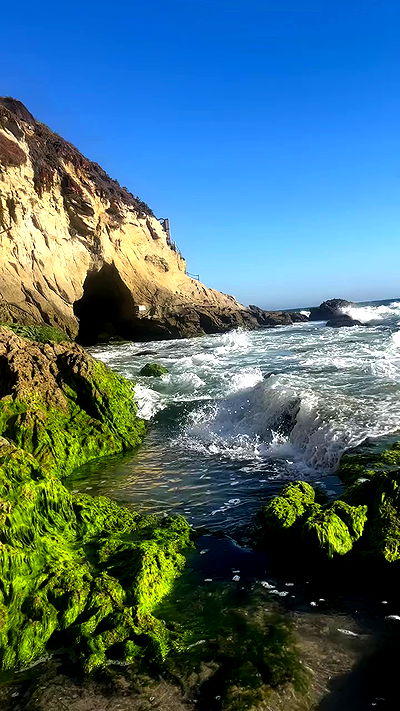 zommmbri zommmbri archive video