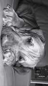 sophie.murray__ Altpins Profile Picture