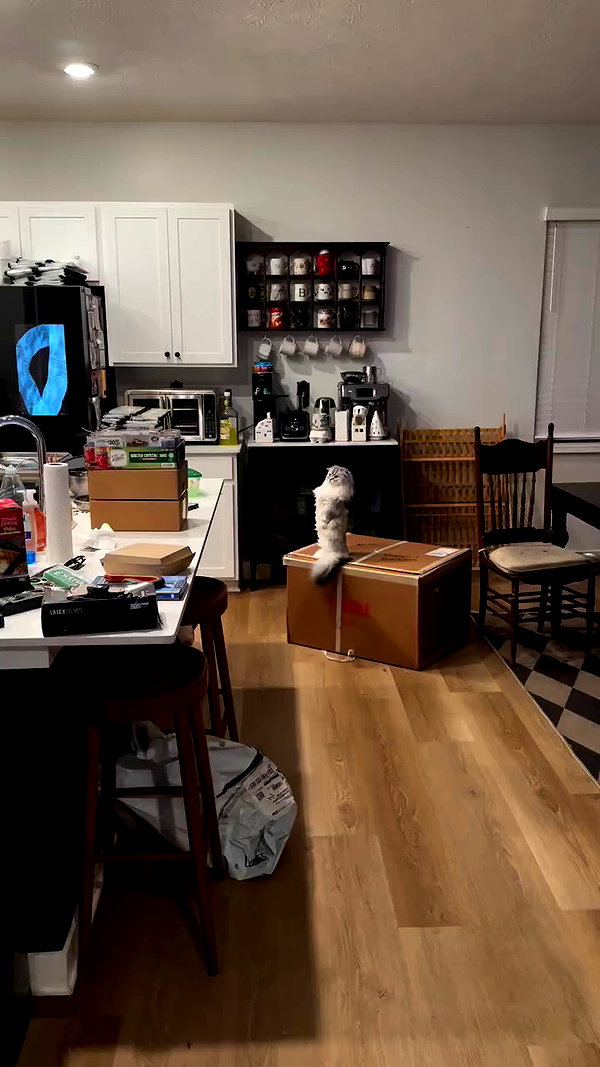 nonsalemwitch archive video preview