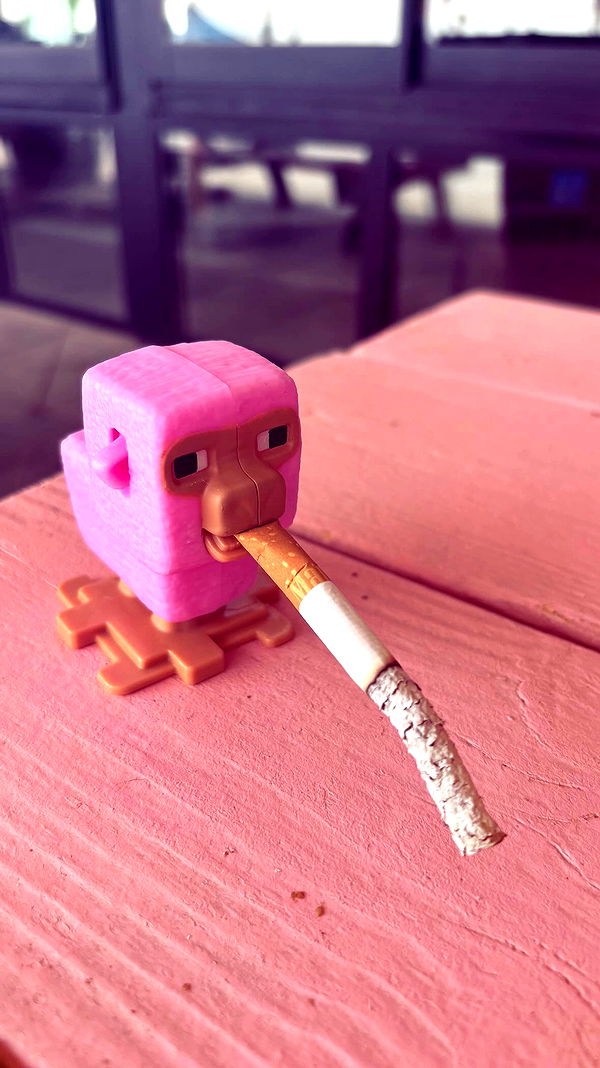 natahalieeee archive video preview