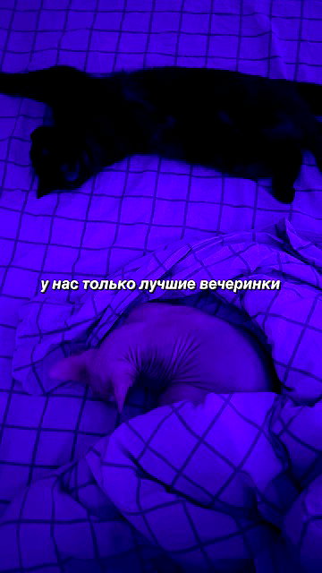 murl1kalka archive video preview