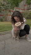 christinacharm Altpins Profile Picture