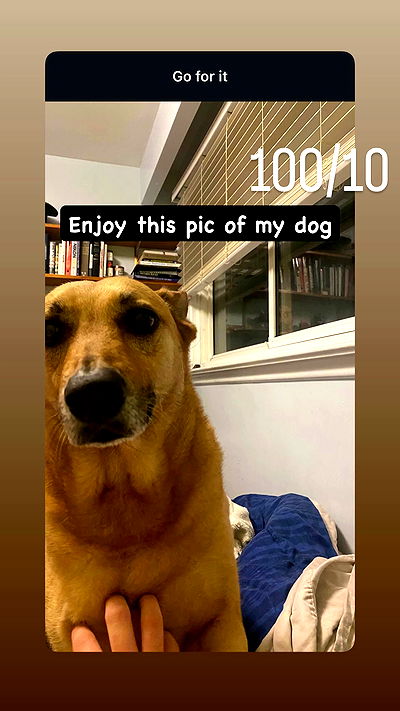 feelbetterinmysweater feelbetterinmysweater archive video