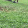 mittzaa_ Altpins Profile Picture