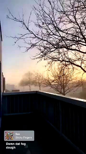 piper.jaylen piper.jaylen archive video