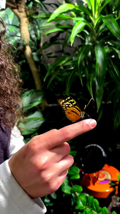 biton__adi biton__adi archive video