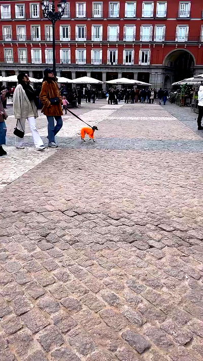 shirakor_ shirakor_ archive video