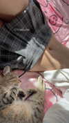 shunli__mei2 Altpins Profile Picture