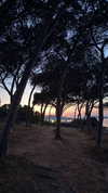 protheme Altpins Profile Picture