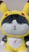 lilicapie Altpins Profile Picture