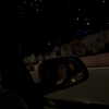 danchiii6403__ Altpins Profile Picture
