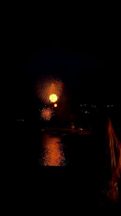 carolinezalog carolinezalog archive video