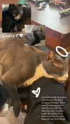 angxl.sky Altpins Profile Picture