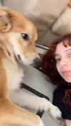 amyeett Altpins Profile Picture