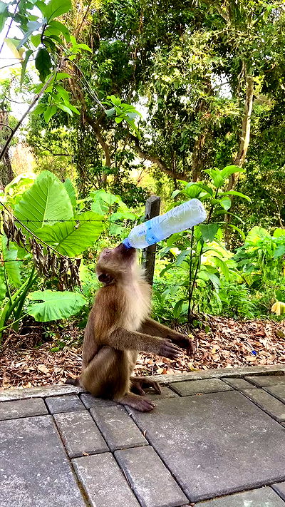 g.a.l.1.a g.a.l.1.a archive video