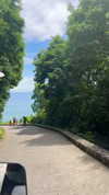 noa_mendel_ Altpins Profile Picture