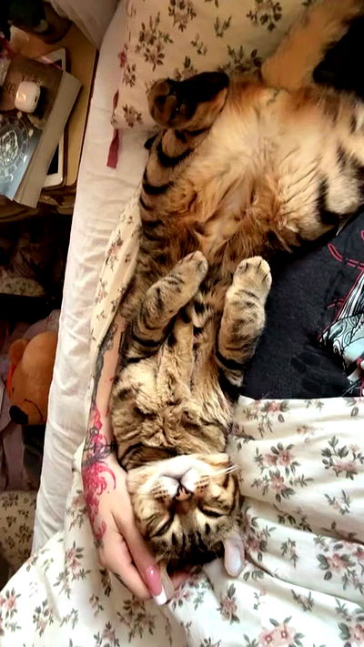 laurinchhhe laurinchhhe archive video