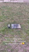 candy_balll Altpins Profile Picture