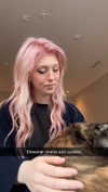 linzoor Altpins Profile Picture