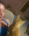 dror_morad Altpins Profile Picture