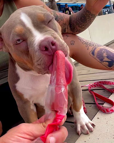 kesemgreenyer kesemgreenyer archive video