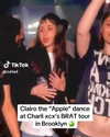 charli_xcx Altpins Profile Picture