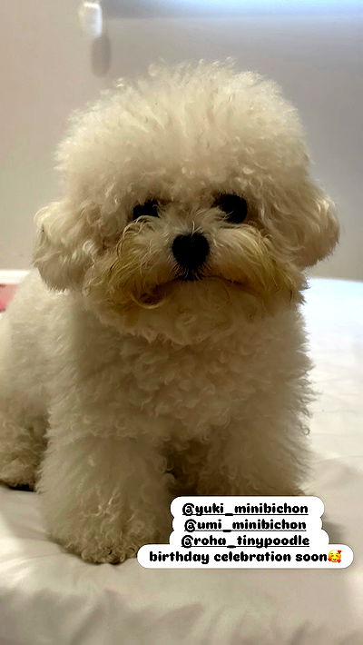 iamdorasnow iamdorasnow archive video