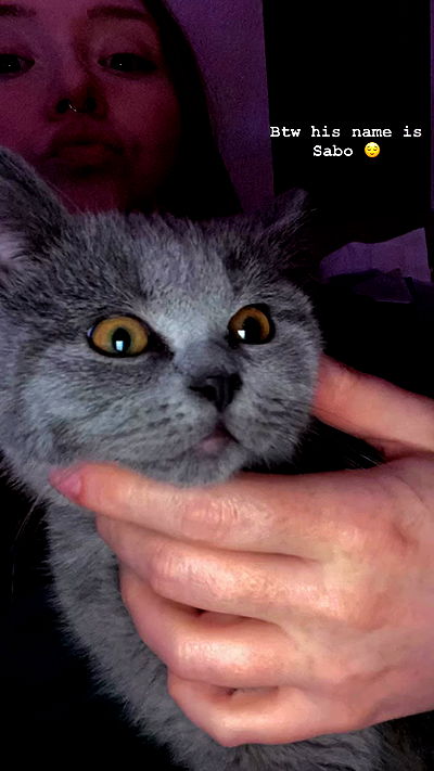 yoo.mon yoo.mon archive video