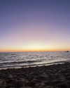 danchiii6403__ Altpins Profile Picture