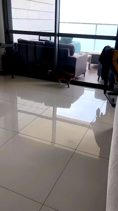 hellokittyangel666 hellokittyangel666 archive video