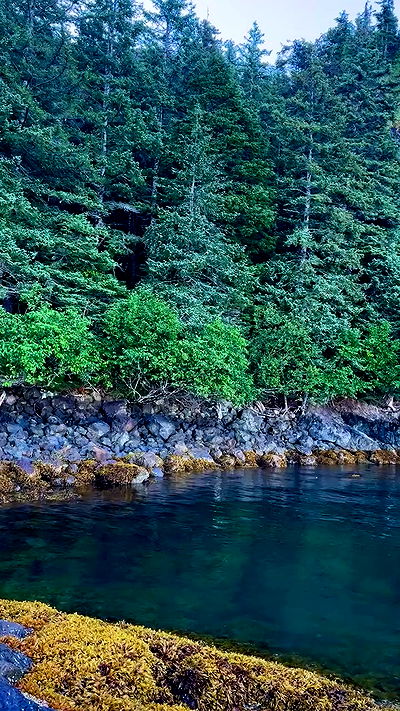 sedonaskyxo sedonaskyxo archive video