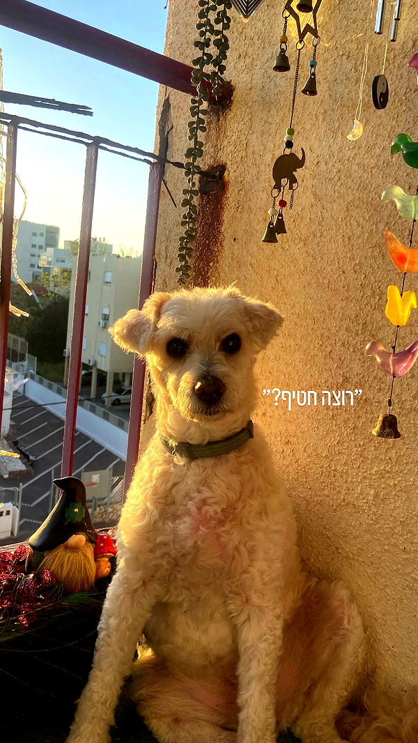 feelbetterinmysweater archive video preview