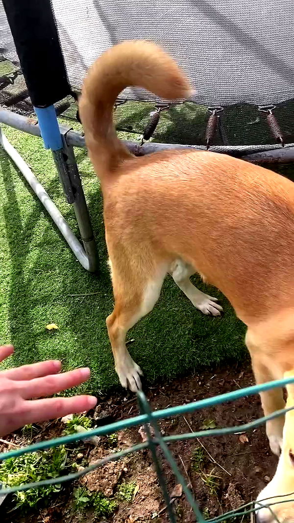 feelbetterinmysweater archive video preview