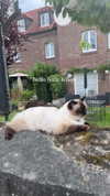 _kybelle Altpins Profile Picture