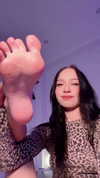 lucymilkmeow Altpins Profile Picture