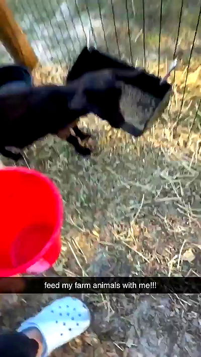 sophieraiin sophieraiin archive video