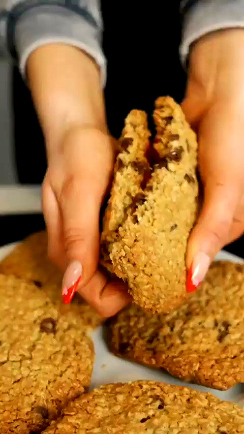 bakedsloths archive video preview
