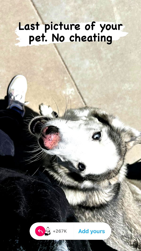 _animechika_ archive video preview