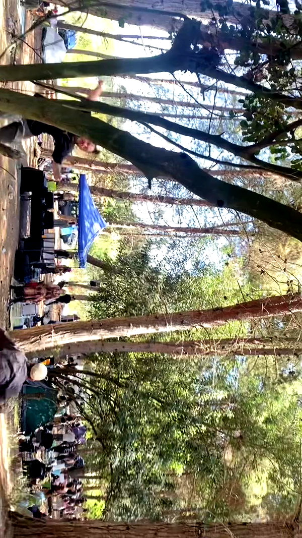 lilllush archive video preview