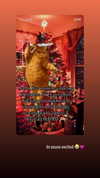 braainr0tt Altpins Profile Picture