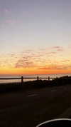 eloise_wensley Altpins Profile Picture