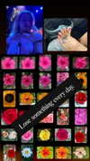 addisonraee Altpins Profile Picture