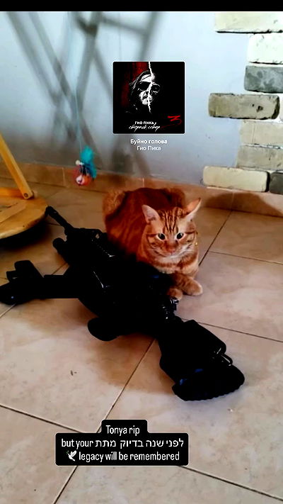 lila.garnik lila.garnik archive video