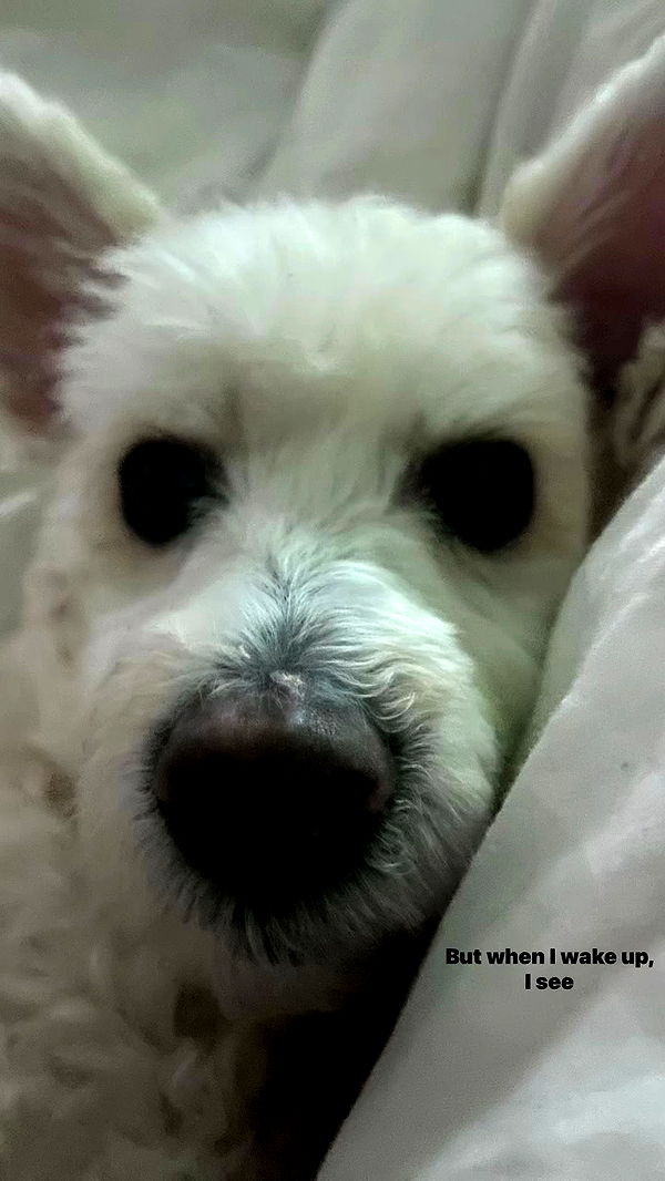 feelbetterinmysweater archive video preview