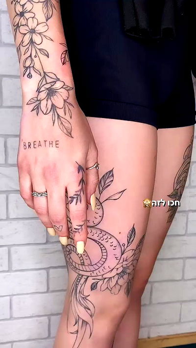 lital.shli lital.shli archive video