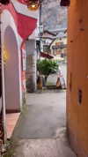 orcoheen Altpins Profile Picture