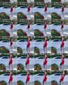 leaandleators Altpins Profile Picture