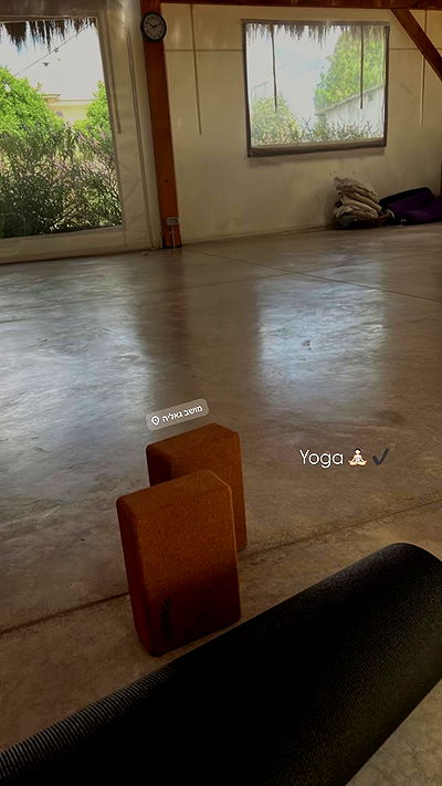 rebecka_tsadok rebecka_tsadok archive video