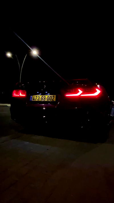 simp_for_cats_ simp_for_cats_ archive video