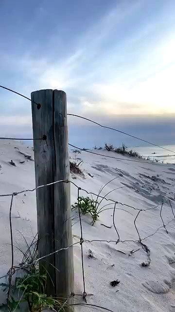 piper.jaylen piper.jaylen archive video